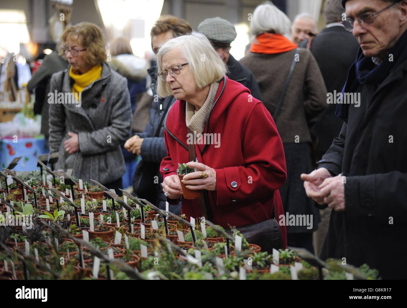 RHS London Early Spring Plant Fair. Visitors attend the RHS London Early Spring Plant Fair at the RHS Horticultural Halls in central London. Stock Photo