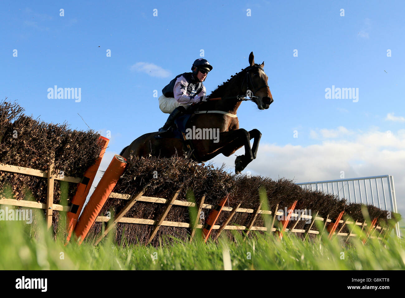 Horseracing races horses full length action hi-res stock photography ...