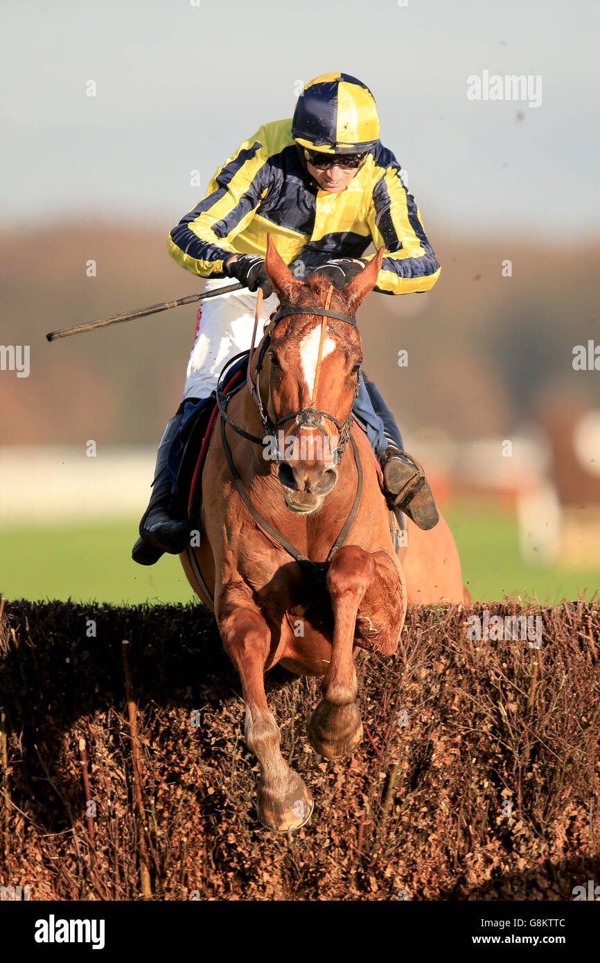 Horseracing races horses full length action hi-res stock photography ...