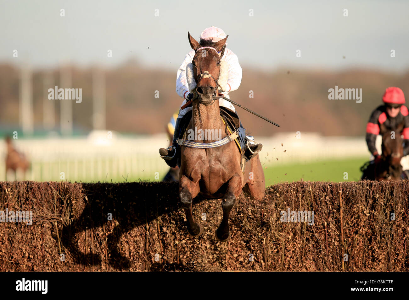 Horseracing races horses full length action hi-res stock photography ...