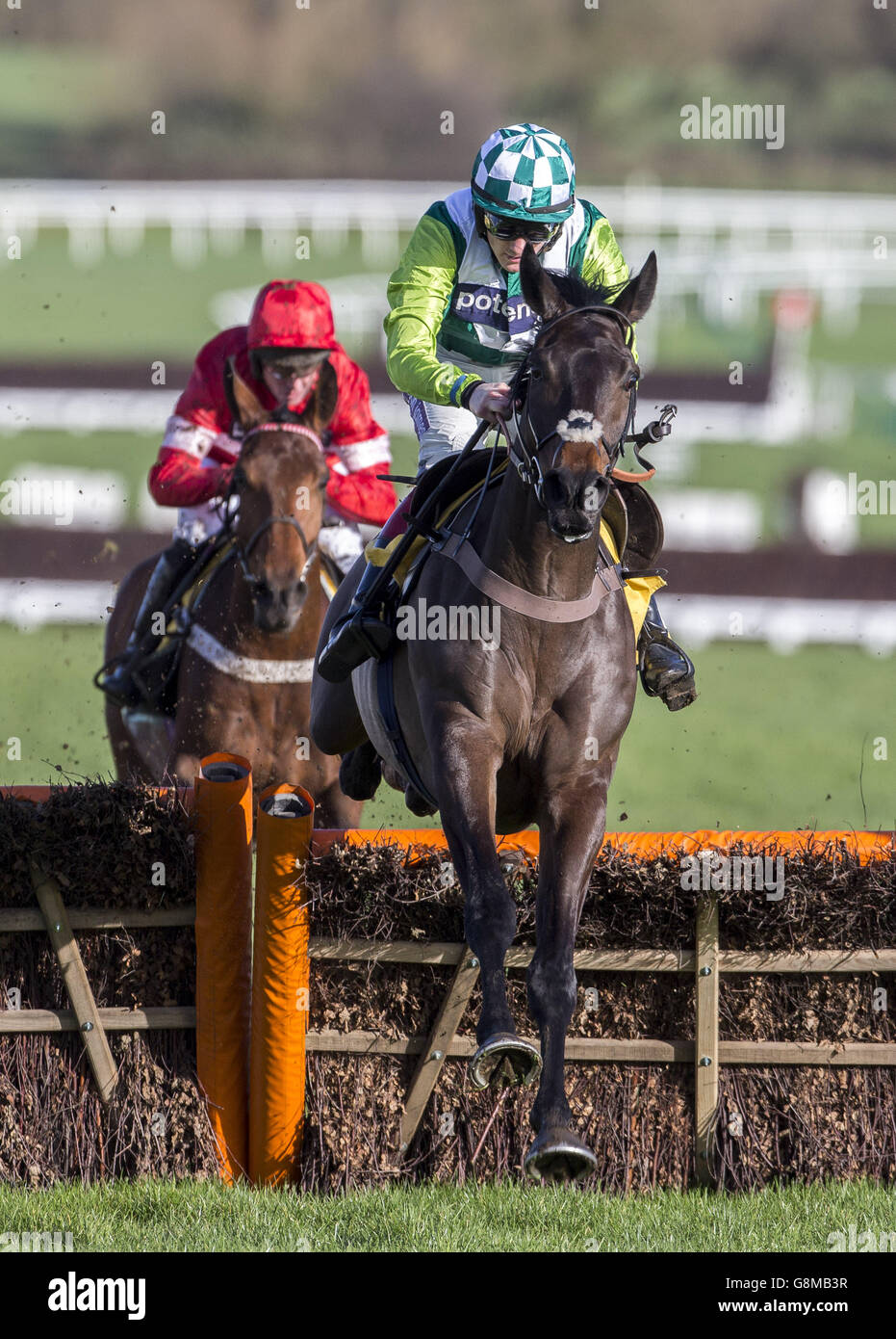 Protek Des Flos (left) ridden by Noel Fehily trails Clan Des Obeaux ridden by Sam Twiston-Davies over the last hurdle before going on to win The JCB Triumph Hurdle Trial Race run during the Festival Trials Day at Cheltenham Racecourse. Stock Photo