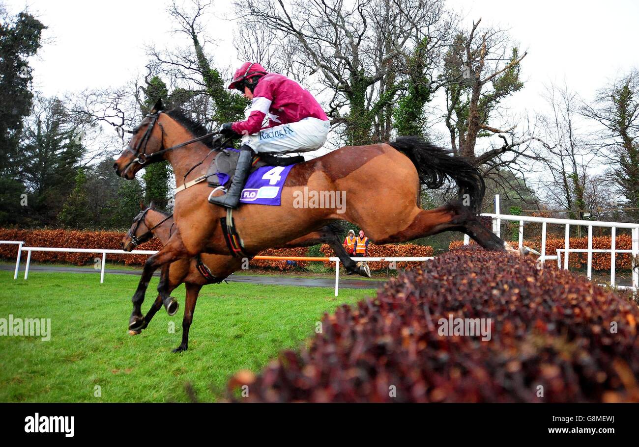 Irish Gold Cup - Leopardstown Racecourse Stock Photo - Alamy
