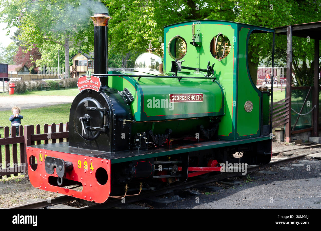 Narrow gauge saddletank steam at the Bressingham Steam