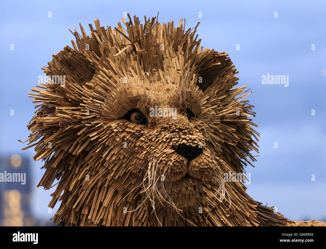 One of two lions by the artist Faith Bebbington commissioned by Wembley stadium on behalf of the FA Group, using reclaimed waste, pictured inside Wembley stadium. Stock Photo