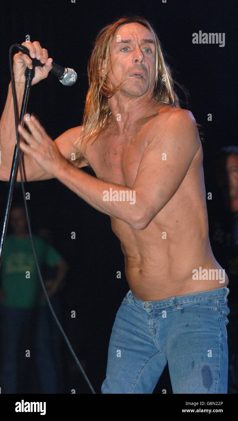 ATP Concerts: Don't Look Back Season - The Carling Hammersmith Apollo. Iggy Pop & the Stooges. Stock Photo