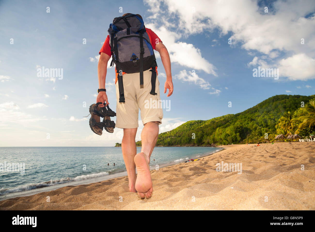 Man walking on the beach, barefooted, beach walking, Grande Anse, Guadeloupe, Lesser Antilles, Caribbean Stock Photo