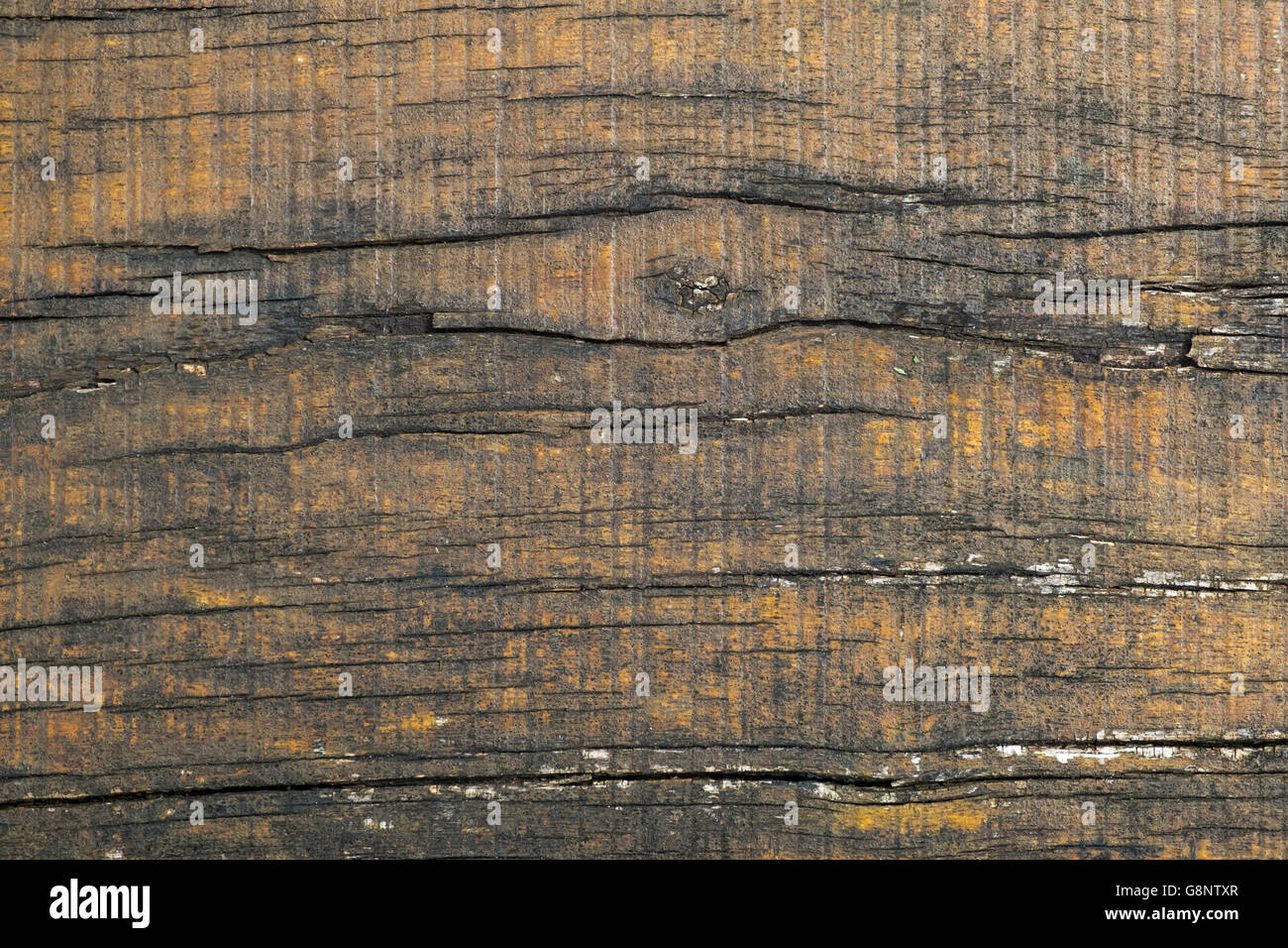Garden landscaping timber deteriorating due to breakdown of treatment coating. Full frame texture background. Stock Photo