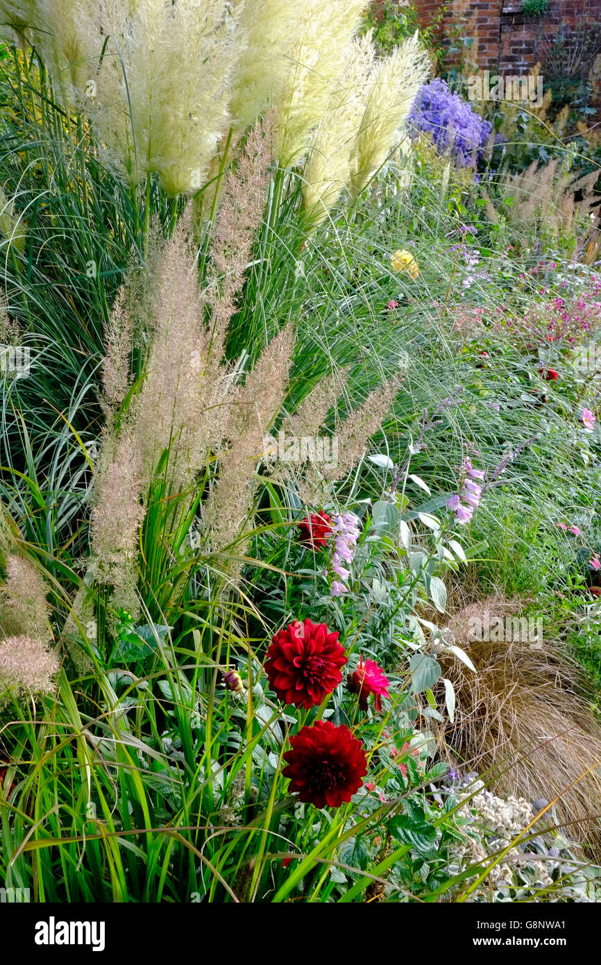 Garden border september hi-res stock photography and images - Alamy