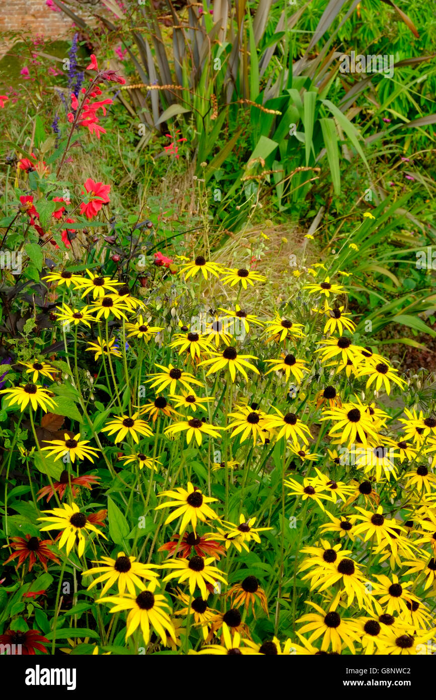 English summer garden border in sun hi-res stock photography and images ...
