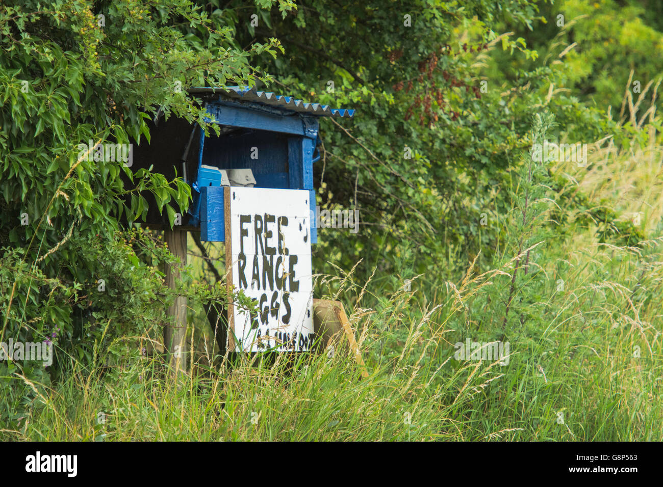 Roadside egg sales stand Stock Photo Alamy