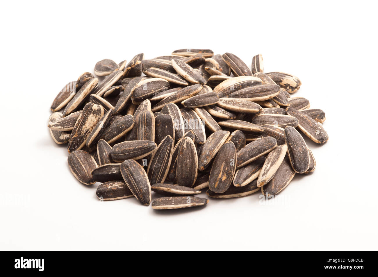 Sunflower Seeds Pile on White Stock Photo