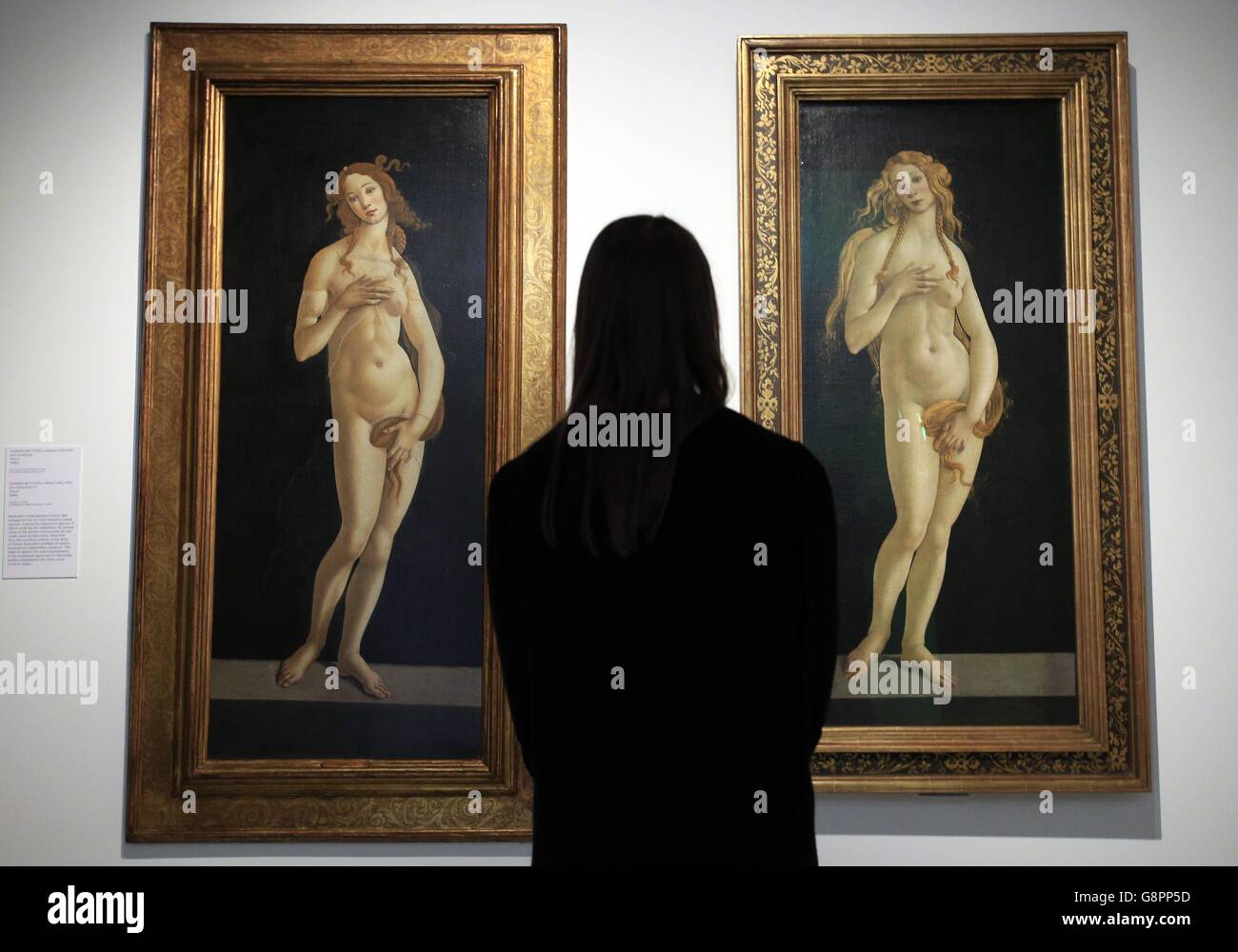 A visitor looks at two separate depictions of the goddess Venus by Sandro Botticelli on display as part of the 'Botticelli Reimagined' exhibition at the V&A Museum, London. Stock Photo
