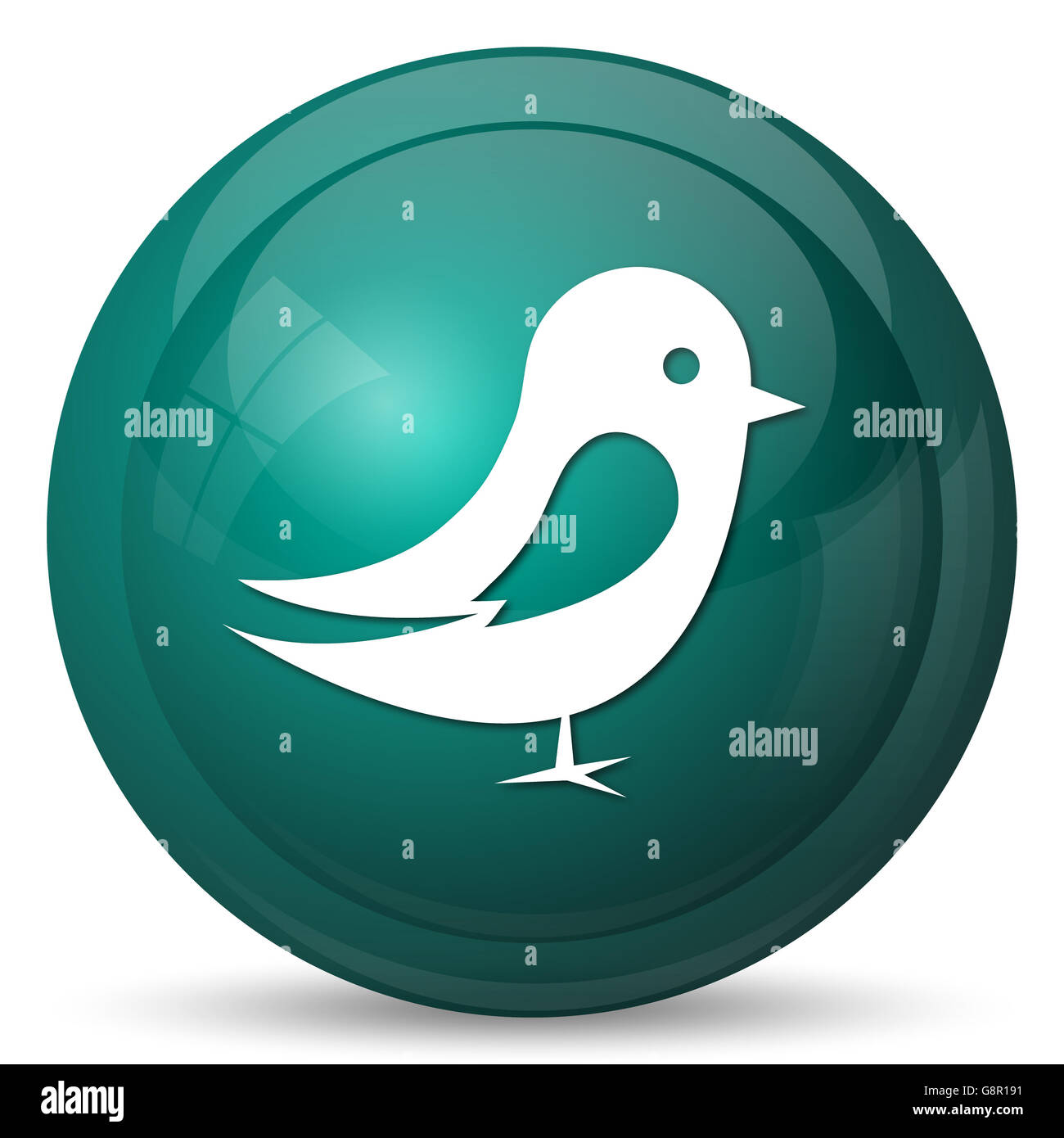Bird icon. Internet button on white background Stock Photo - Alamy