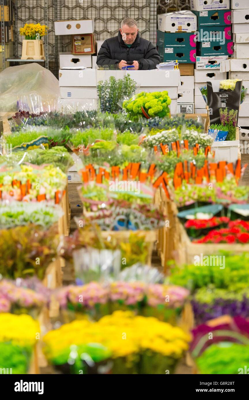 A trader at work at New Covent Garden Flower Market, which is the UK's largest wholesale flower market, in Nine Elms, London, ahead of Mothering Sunday this weekend. Stock Photo