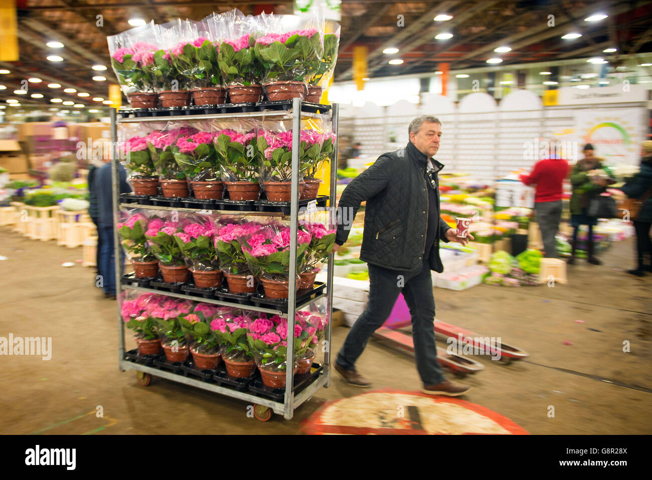 A trader moves a trolley of flowers at New Covent Garden Flower Market, which is the UK's largest wholesale flower market, in Nine Elms, London, ahead of Mothering Sunday this weekend. Stock Photo