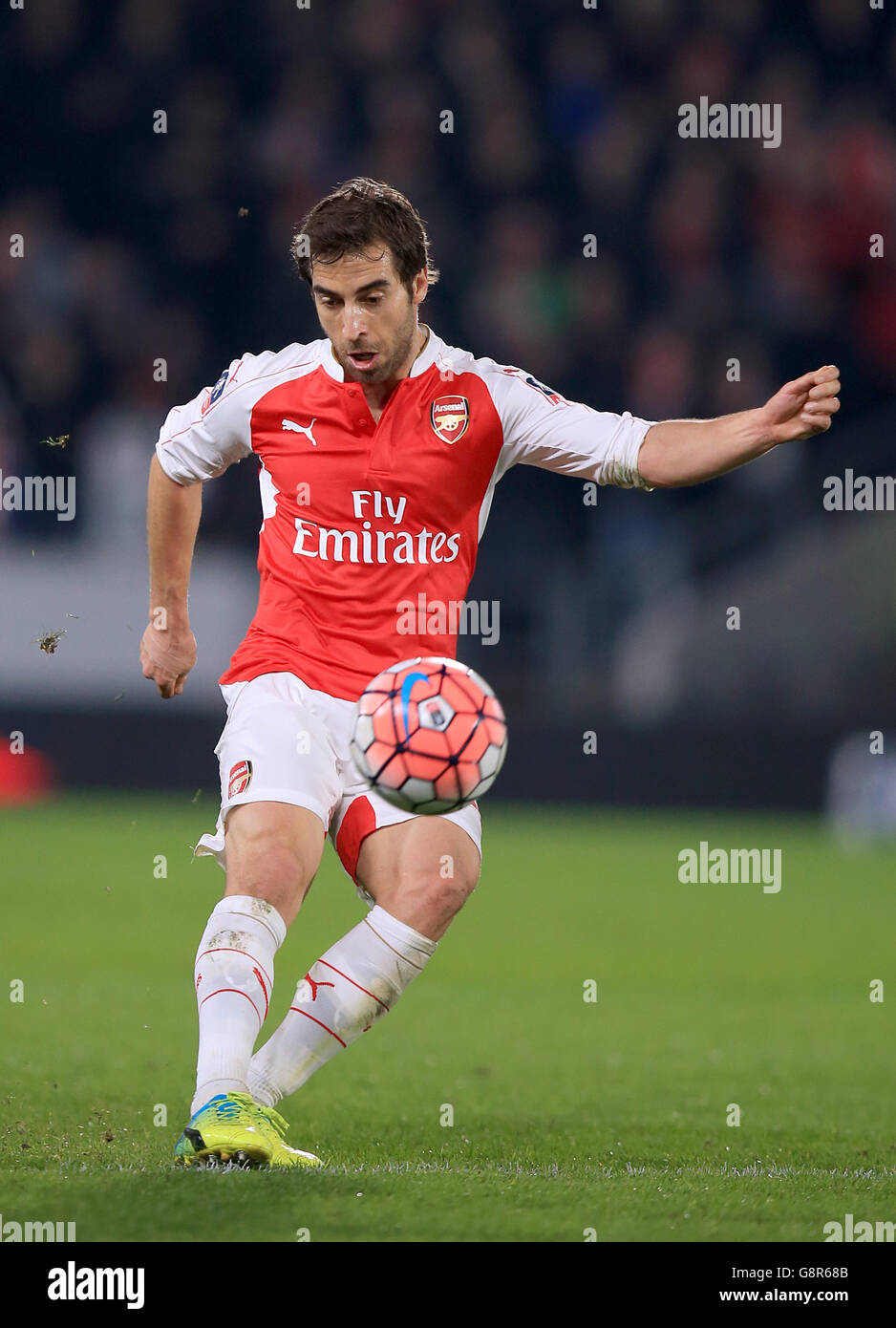 Kc mathieu hi-res stock photography and images - Alamy