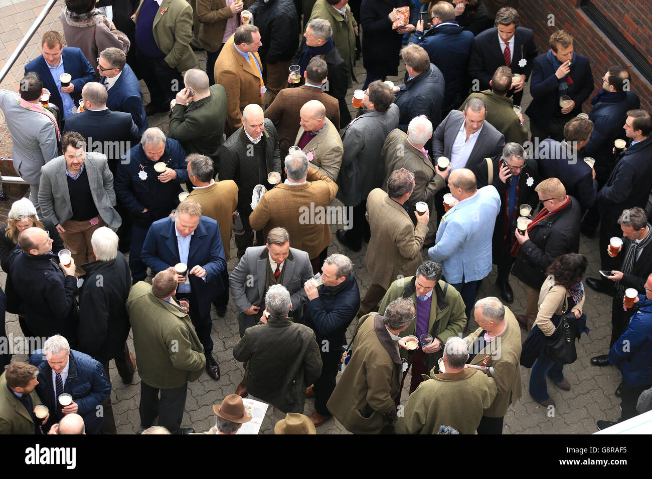Horse racing beer guinness cheltenhamcollection hi-res stock ...