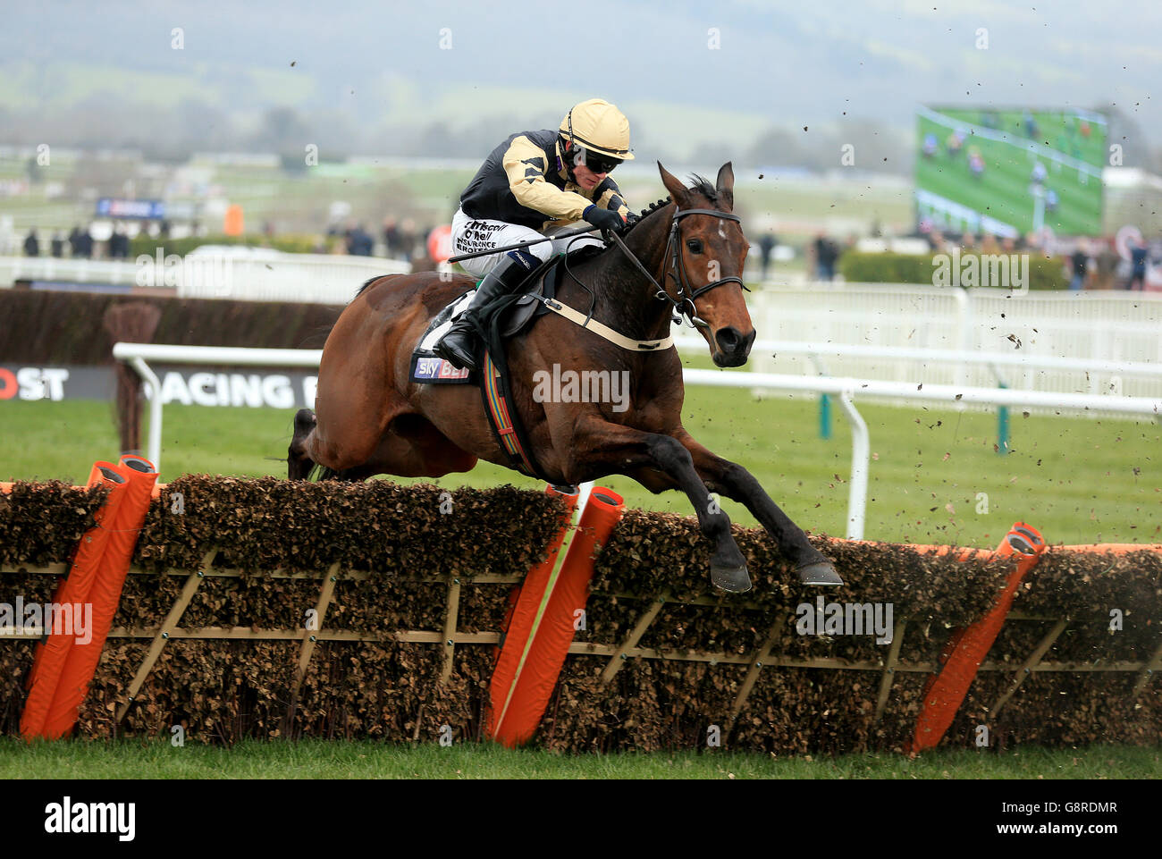 Bellshill ridden by jockey Paul Townend makes a jump in the Sky Bet Supreme Novices' Hurdle Stock Photo
