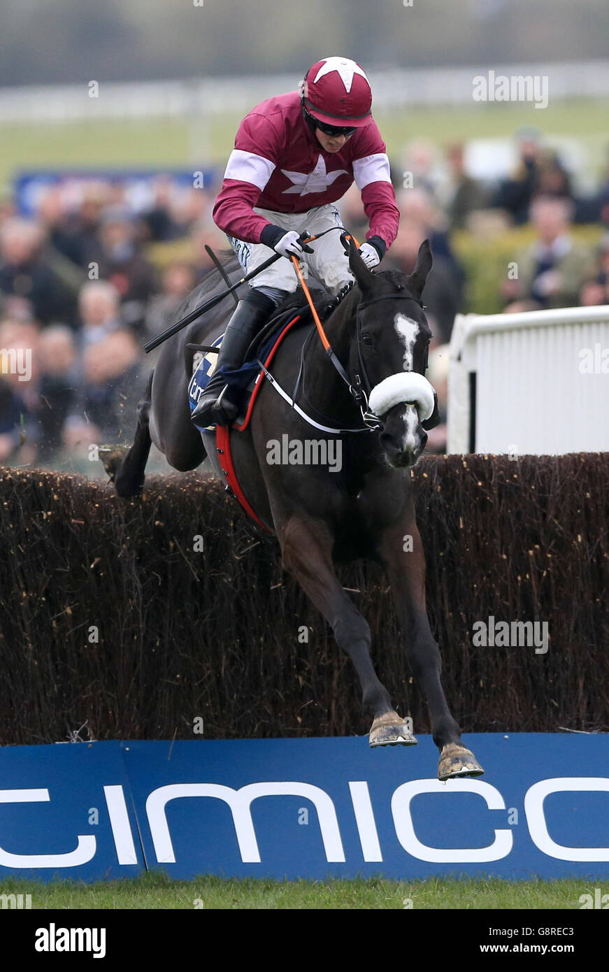 Don Cossack ridden by Bryan Cooper clears the last before winning the Timico Cheltenham Gold Cup during Gold Cup Day of the 2016 Cheltenham Festival at Cheltenham Racecourse. PRESS ASSOCIATION Photo. Picture date: Friday March 18, 2016. See PA story RACING Gold. Photo credit should read: Tim Goode/PA Wire. Stock Photo