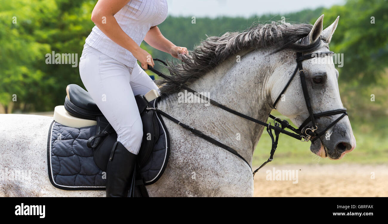 Young girl riding a horse Stock Photo