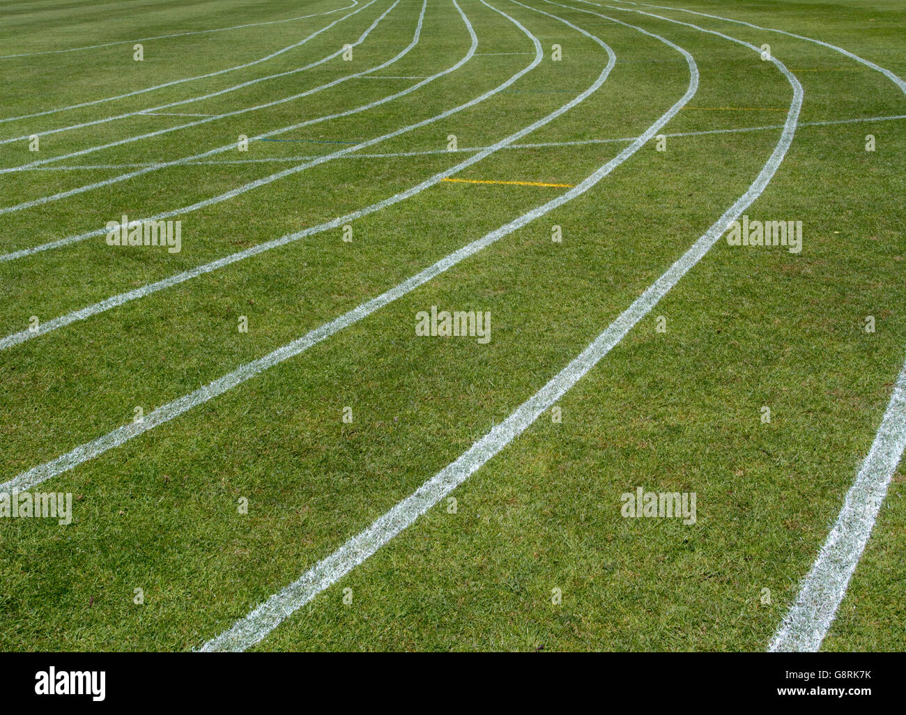 Grass running track near me sale