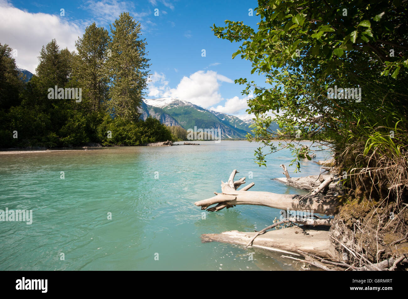 Lower Stikine river, British Columbia, Canada Stock Photo