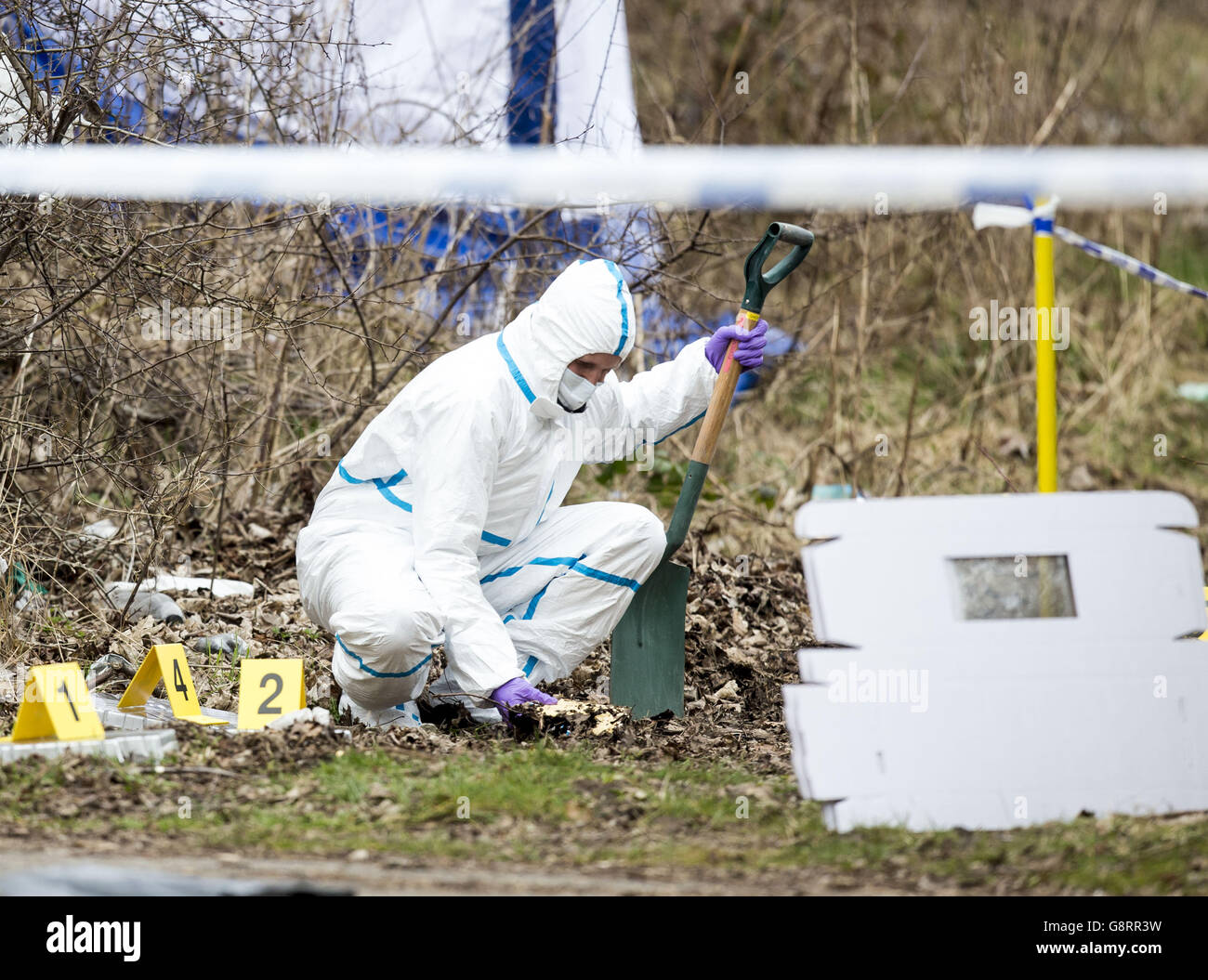 A police forensic officer at the site where the body of Paige Doherty was  found near Great Western Road in Clydebank Stock Photo - Alamy
