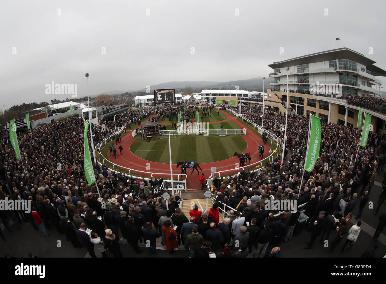 2016 Cheltenham Festival - Champion Day - Cheltenham Racecourse. A general view of the parade ring and packed crowds during Champion Day of the 2016 Cheltenham Festival at Cheltenham Racecourse. Stock Photo