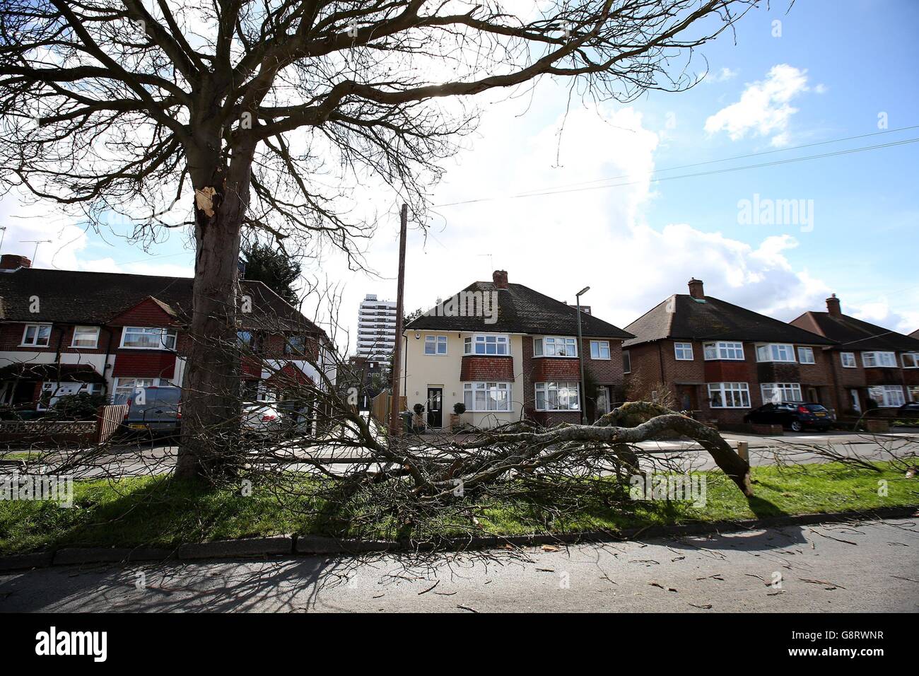 Fallen down tree branches from the result of Storm Katie on Heathcroft Avenue in Sunbury-on-Thames, Surrey. Stock Photo