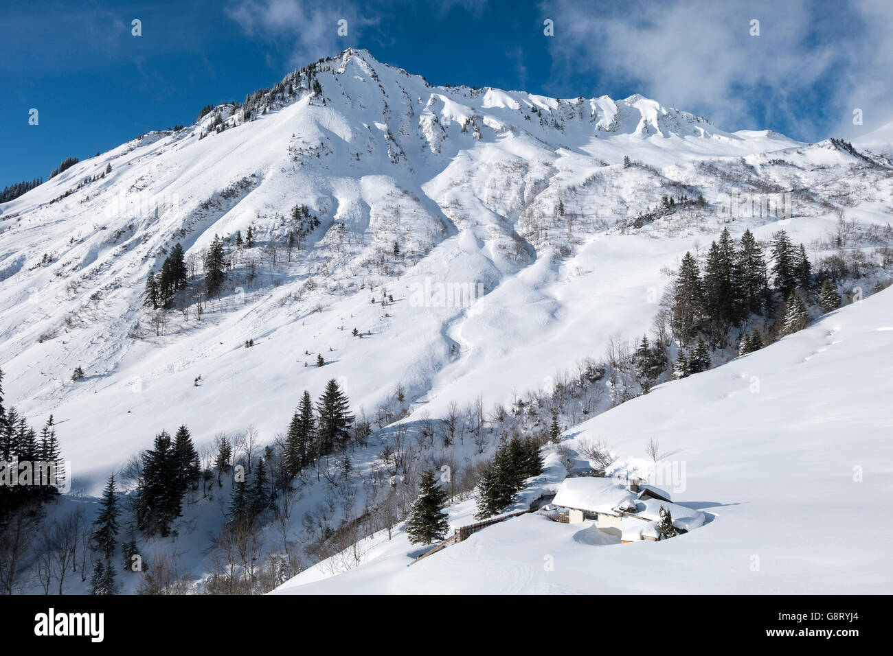 Austria, Biosphere Park Grosses Walsertal,Bregenzerwald Mountains ...