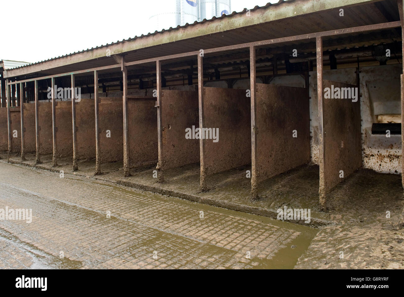 Out Of Parlour Feeders Stock Photo 108706179 Alamy