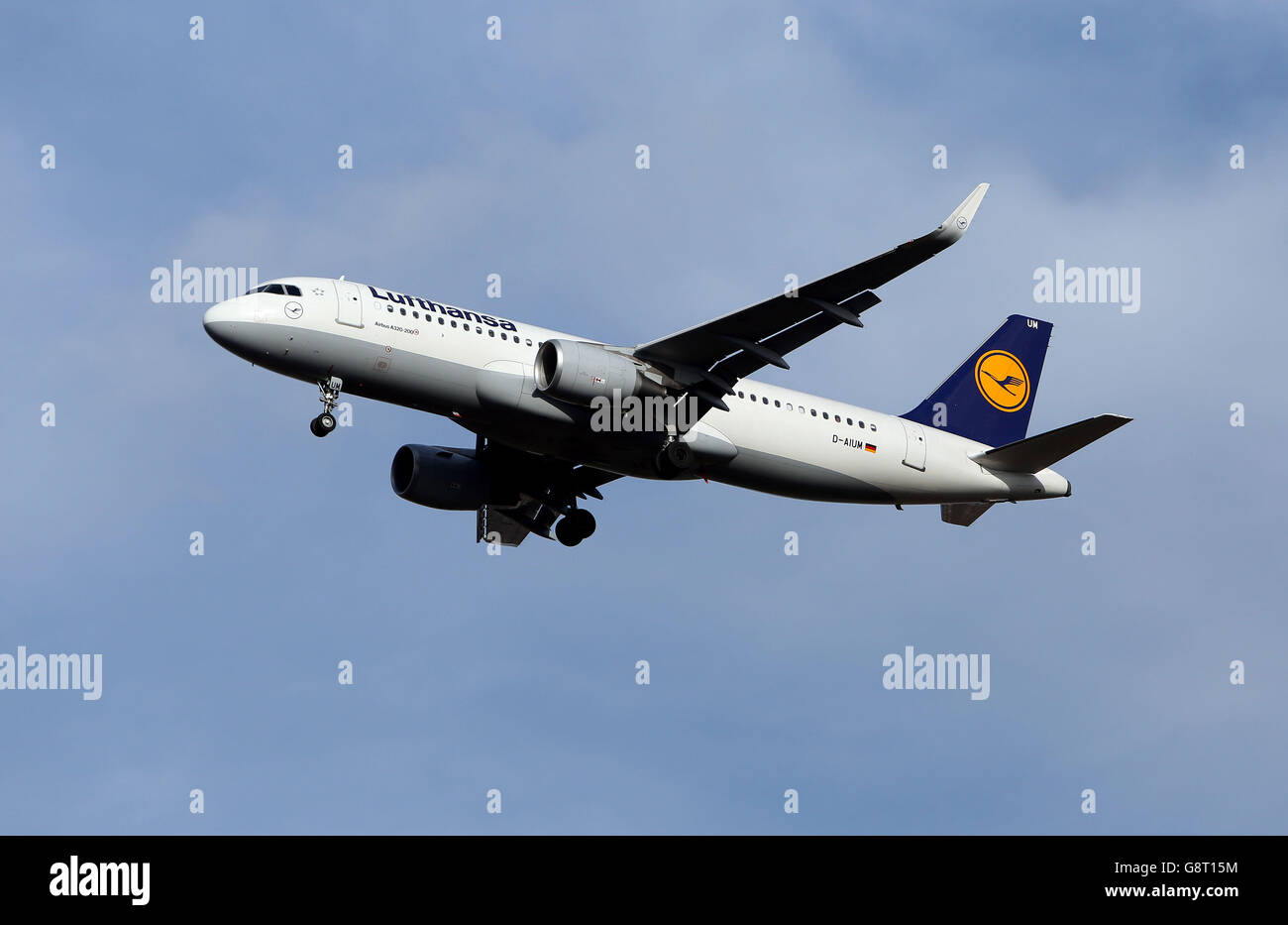 Plane Stock - Heathrow Airport. a Lufthansa Airbus A320-214(WL) plane with the registration D-AIUM lands at Heathrow Stock Photo