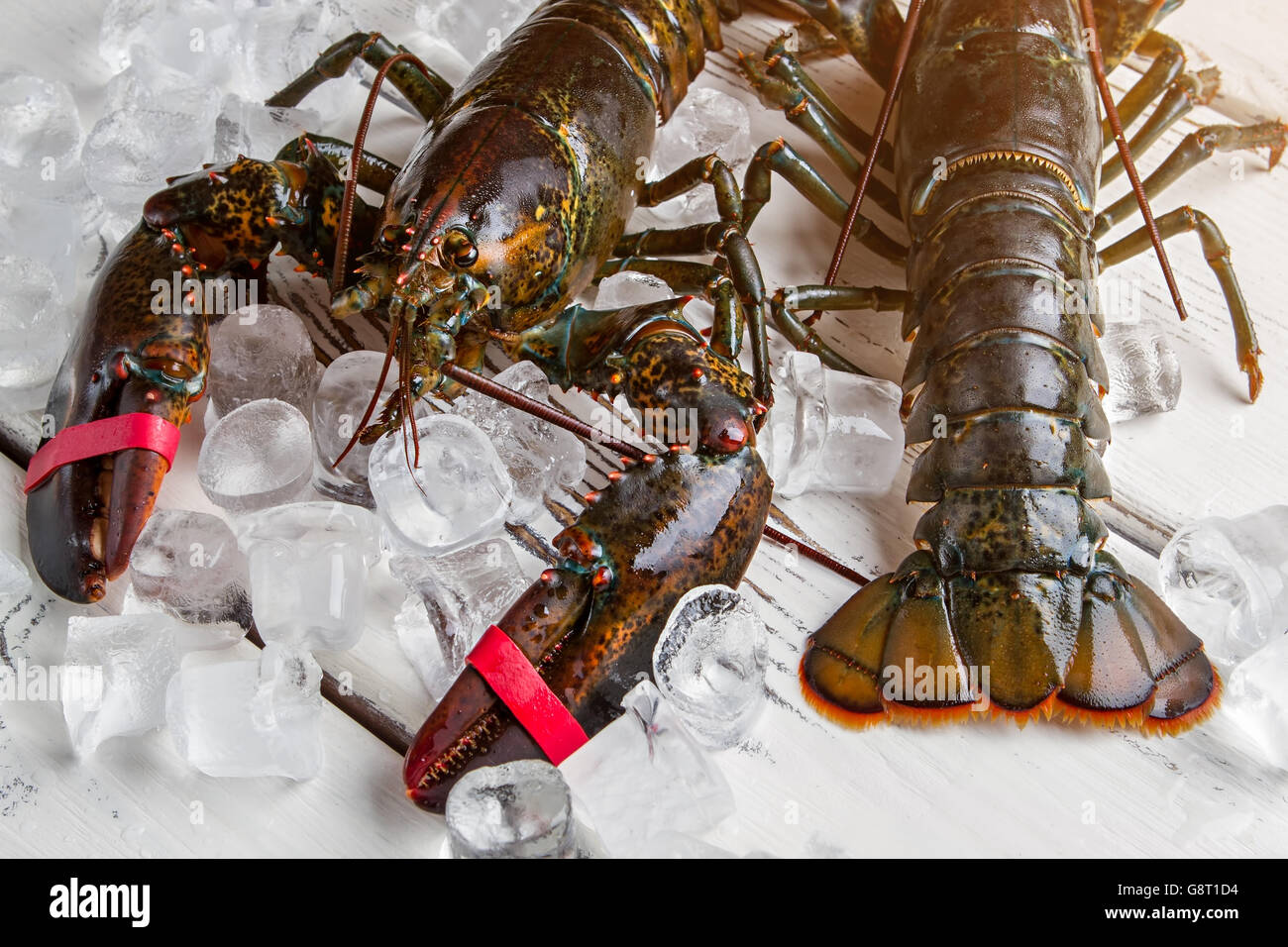 Ice cubes beside raw lobsters Stock Photo Alamy