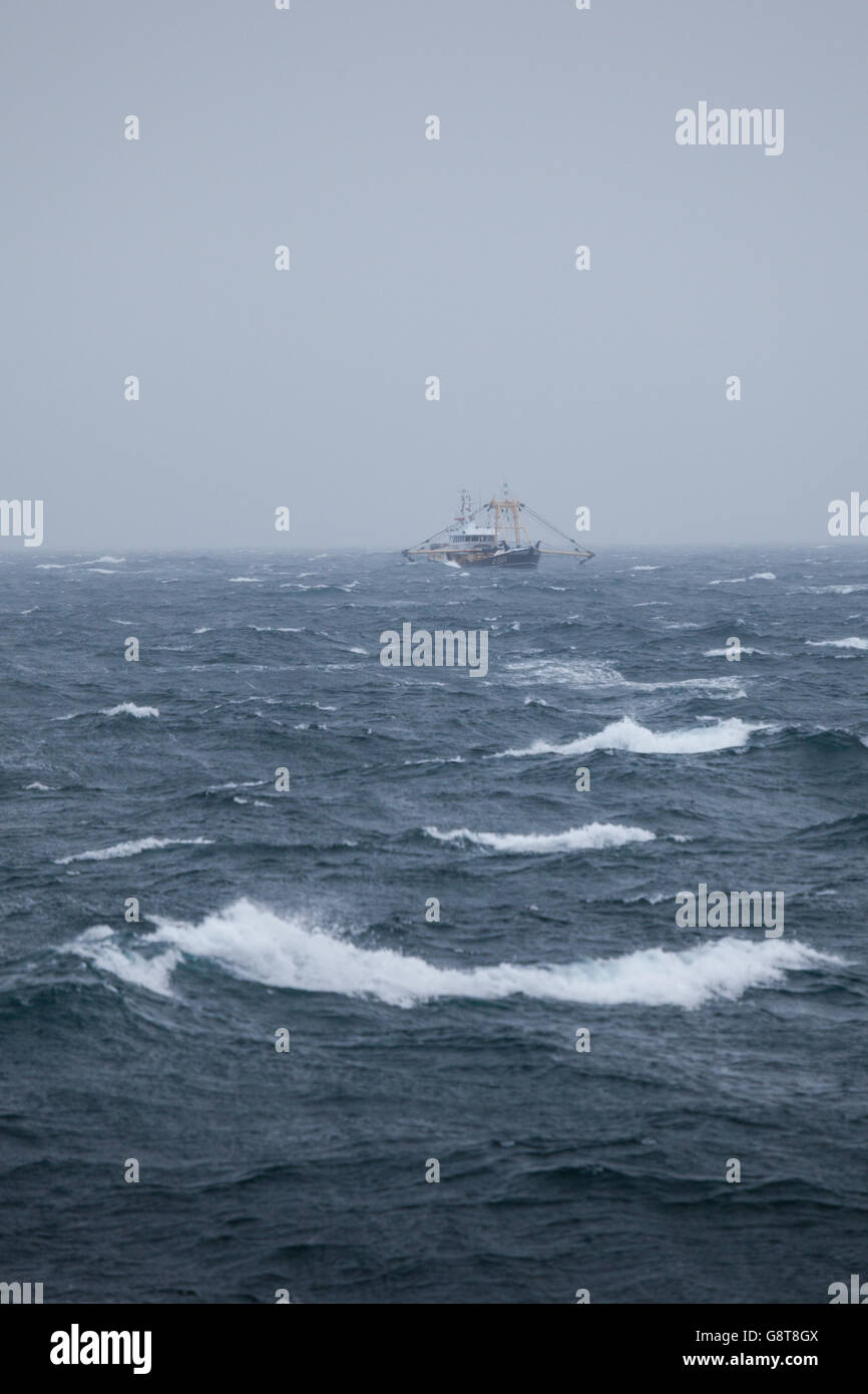 A Belgian beam trawler, Z98 Ophoopvanzegen, fishing in the North Sea during bad weather Stock Photo