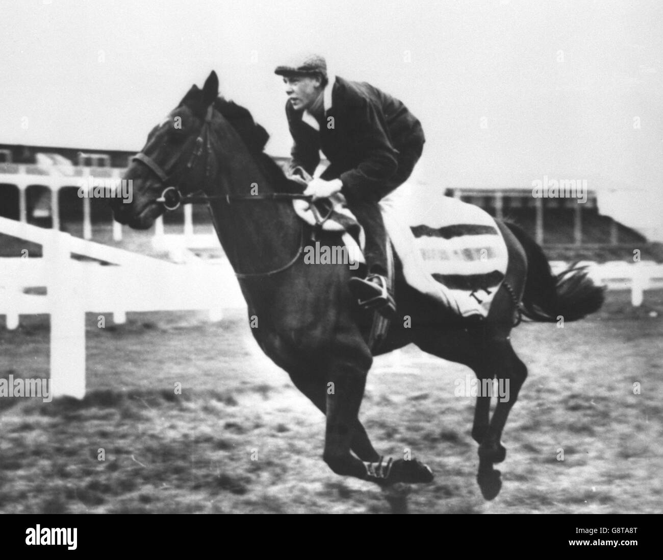 The Fossa, a favourite in the Grand National held later in the day, galloping during exercises at Aintree. Stock Photo