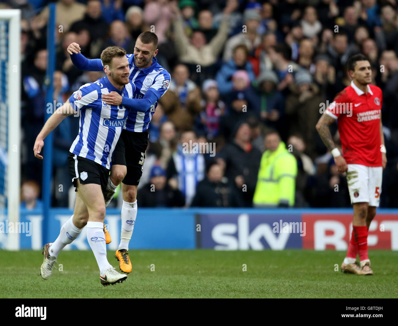 Sheffield wednesdays tom lees and sheffield wednesdays jack hunt