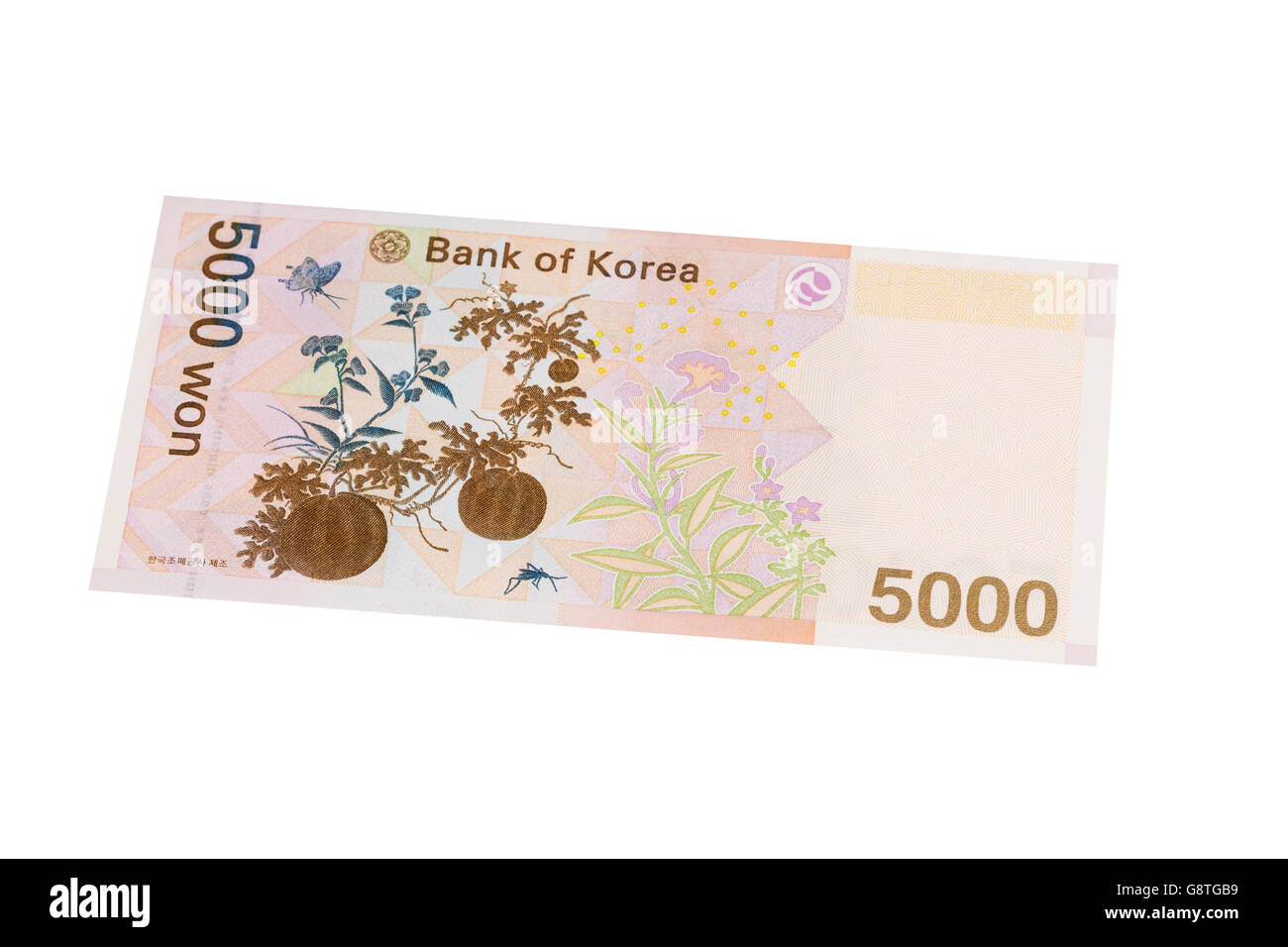 South korean five thousand Won banknote on a white background Stock Photo
