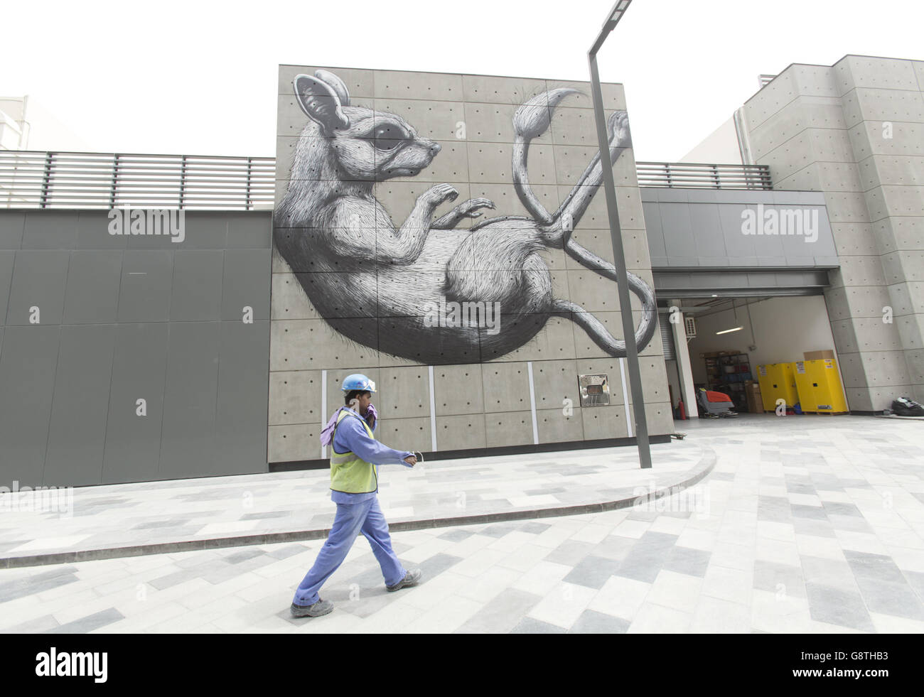 Dubai Walls Street Art Stock Photo Alamy