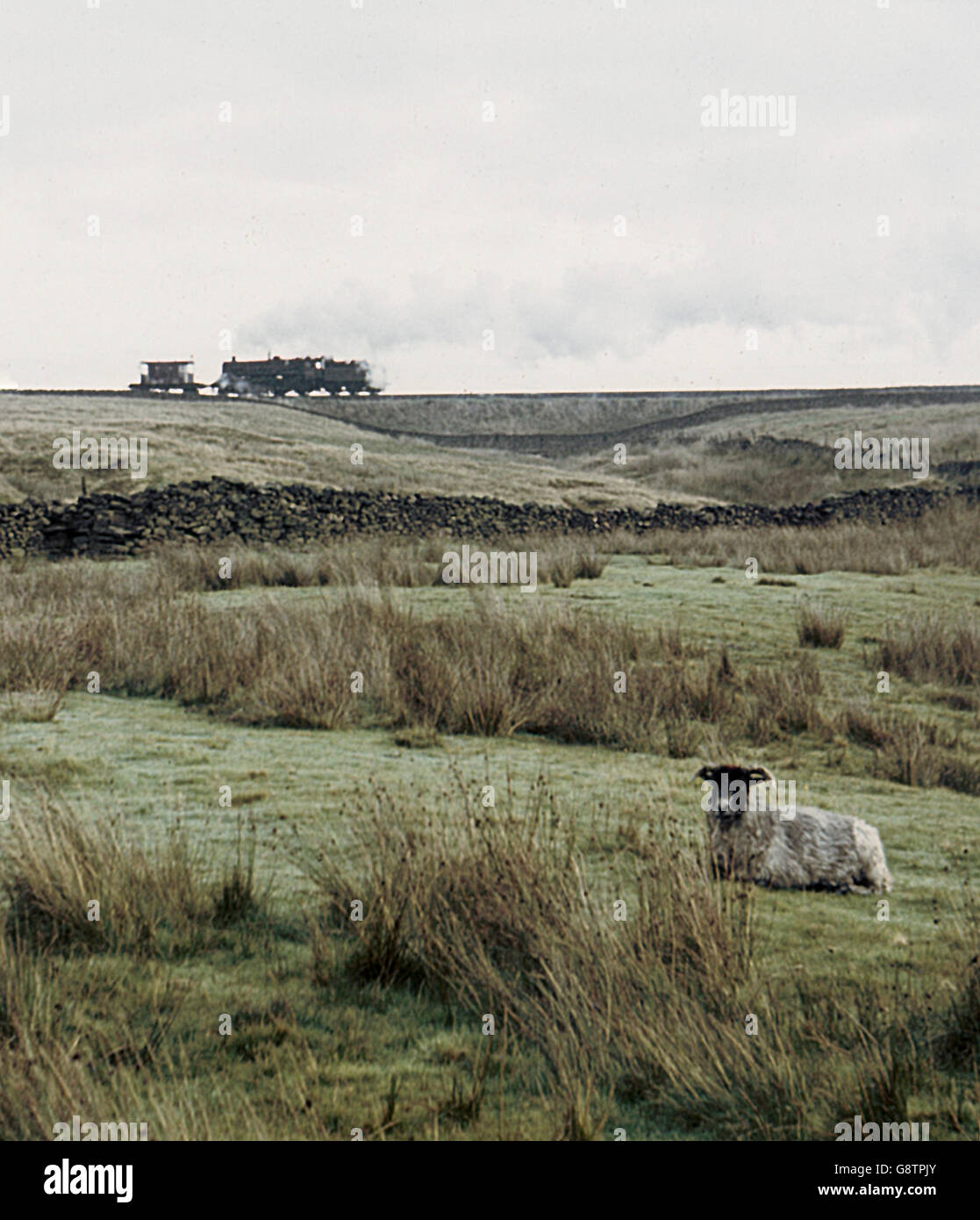 Shap Bank as seen from High Scales Farm on Thursday, 28 September 1967. Stock Photo