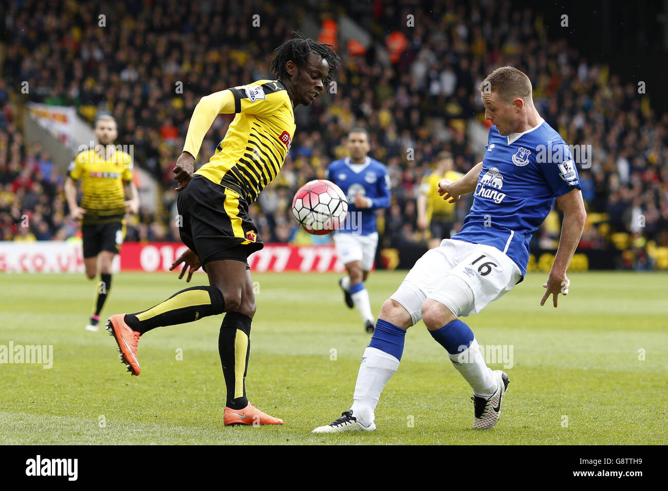 Everton's James McCarthy (right) and Watford's Juan Carlos Paredes battle for the ball during the Barclays Premier League match at Vicarage Road, Watford. Stock Photo