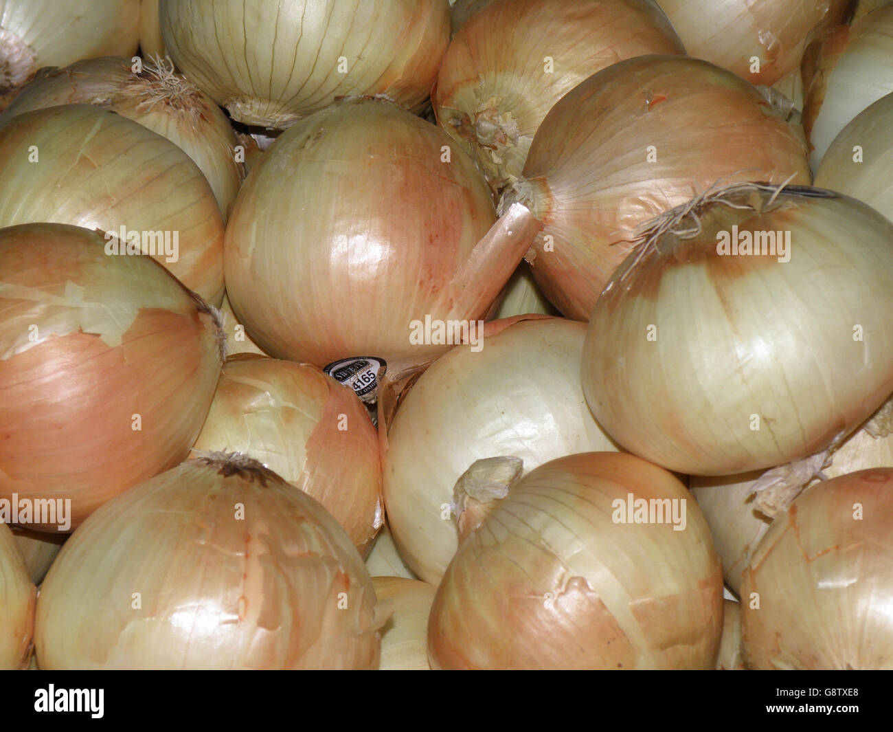 Vidalia onions hi-res stock photography and images - Alamy