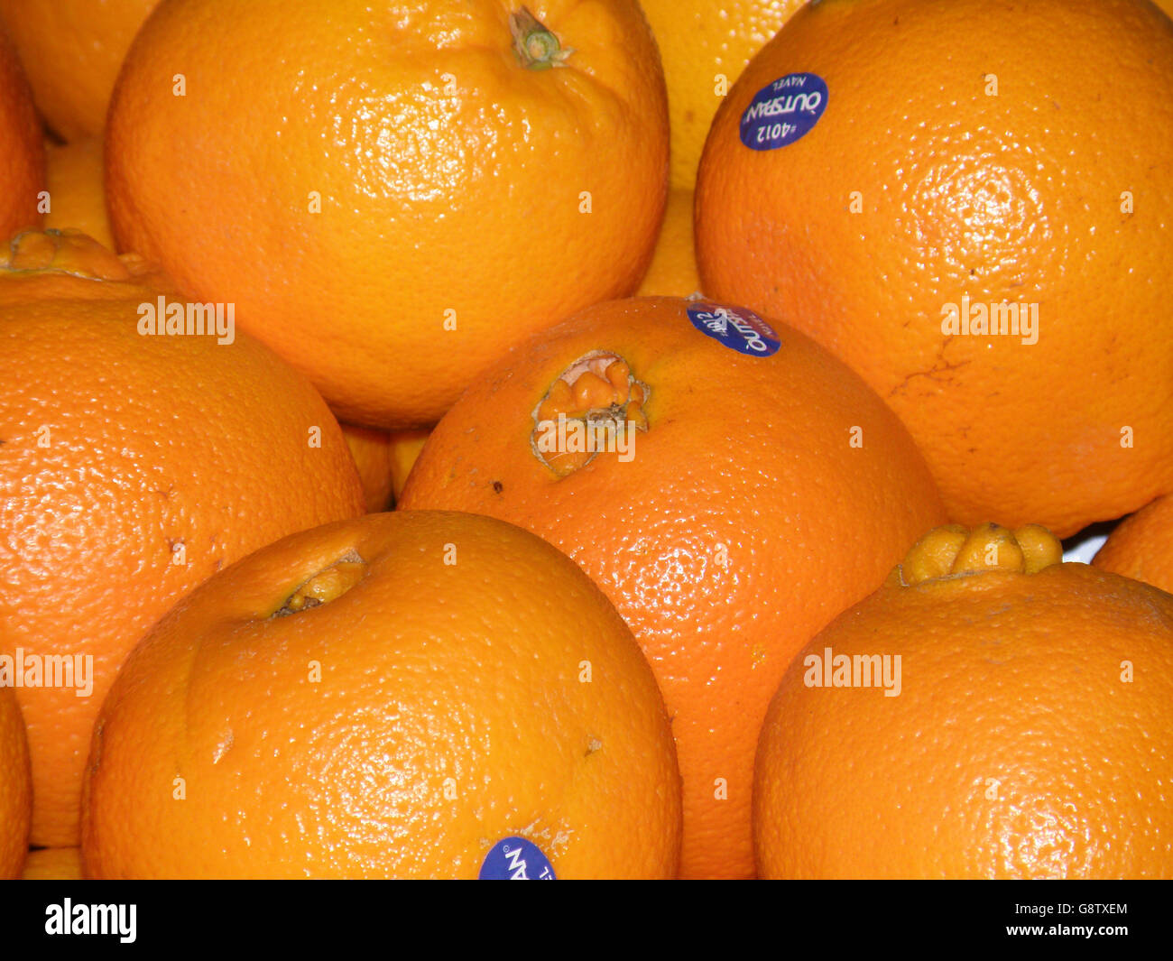 Ripened naval oranges at a farm stand. Stock Photo