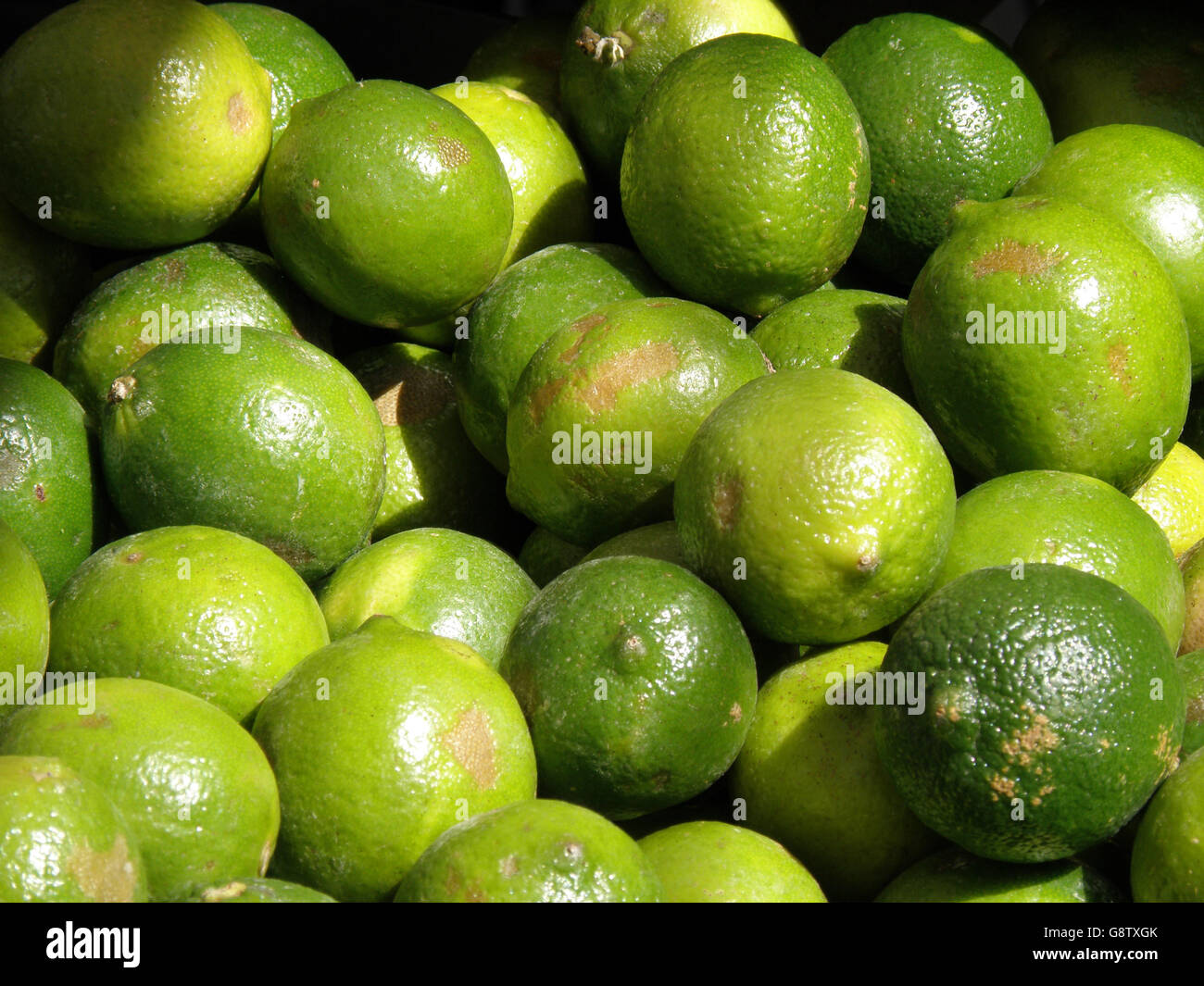 Farming limes hires stock photography and images Alamy