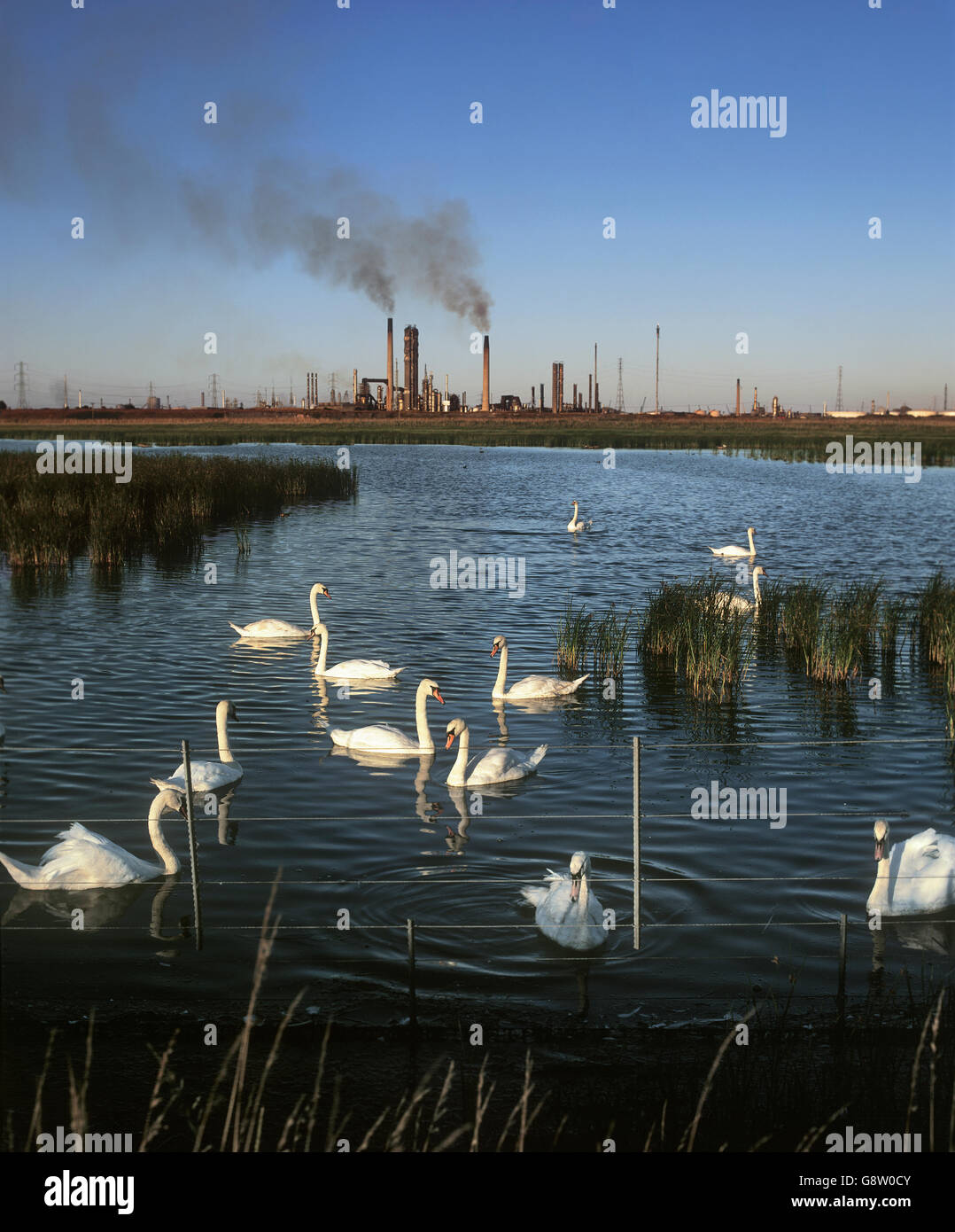 Chemical works, Seal Sands, Teesside. Foreground: Saltholme Pools conservation and wildlife reserve. Stock Photo