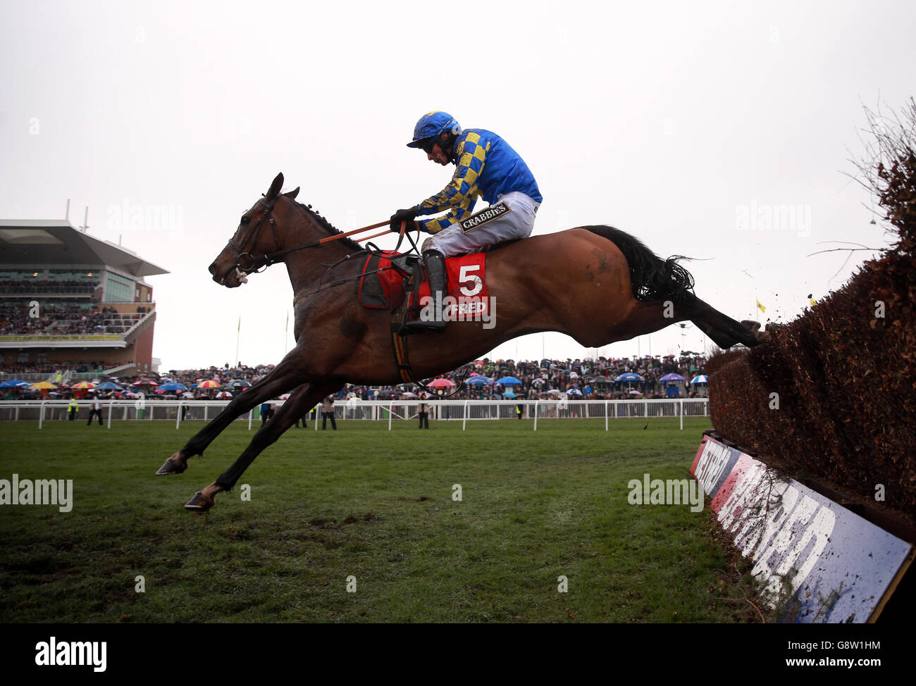 Maggio ridden by jockey James Reveley clears a fence on the way to winning the Betfred Handicap Chase during Grand National Day of the Crabbie's Grand National Festival at Aintree Racecourse, Liverpool. Stock Photo