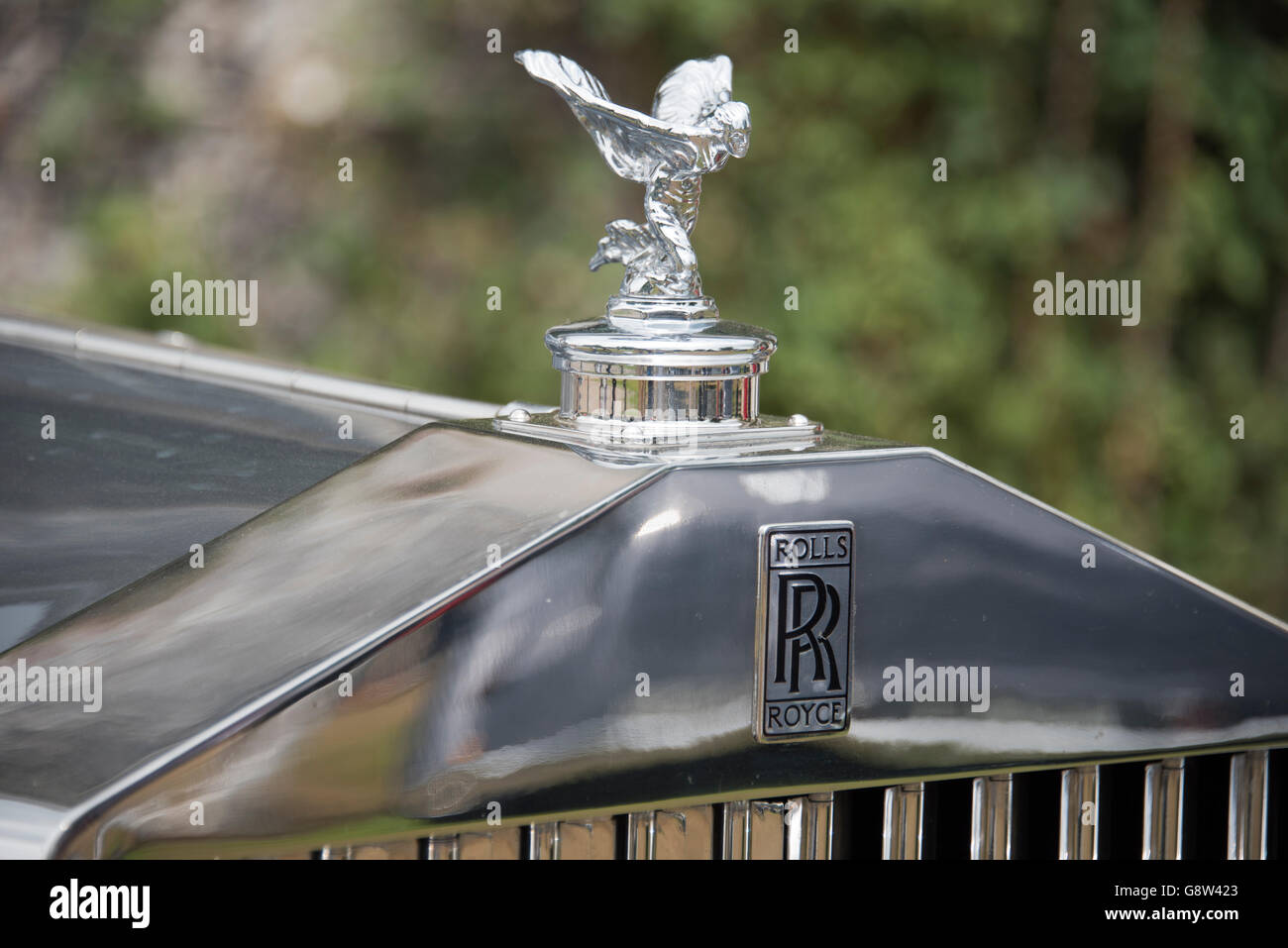 Rolls Royce Spirit of Ecstasy on vintage radiator grill - Stock Image