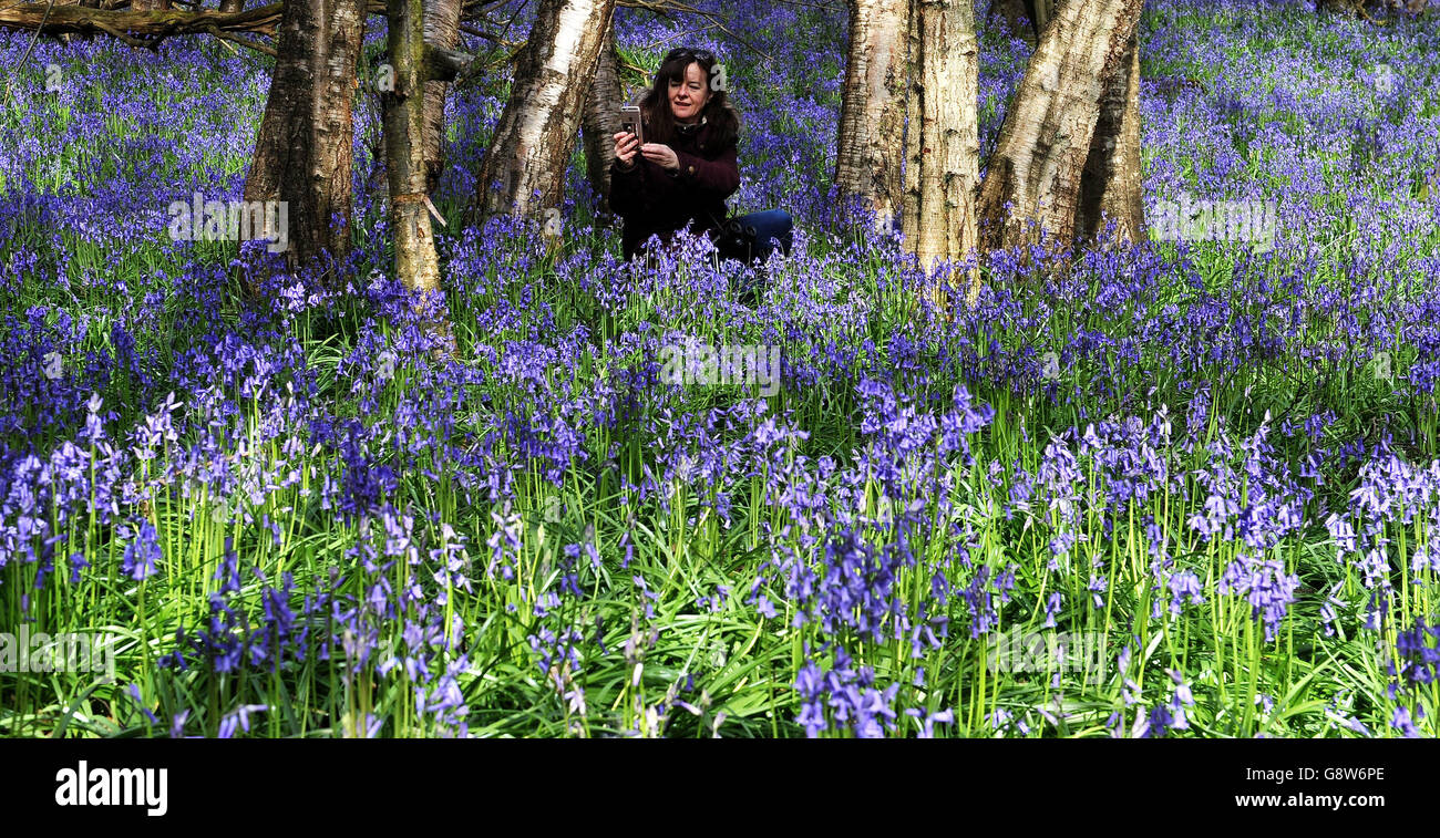 Apr 2016 stock hi-res stock photography and images - Alamy