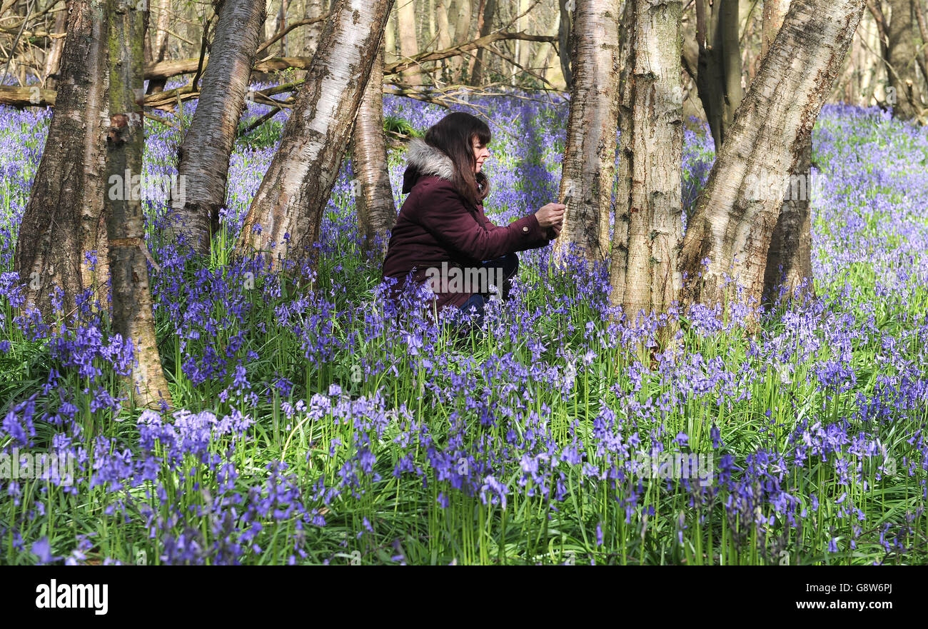 Apr 2016 stock hi-res stock photography and images - Alamy