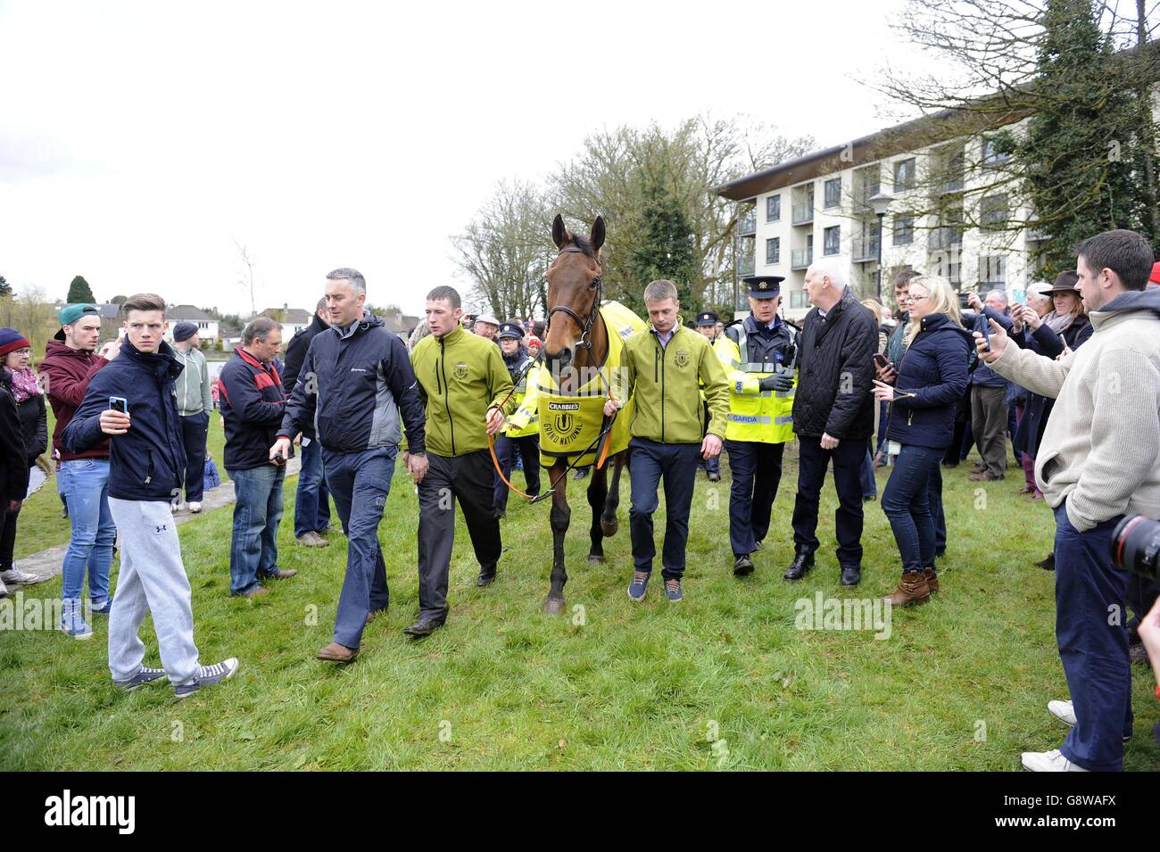 Crabbie's Grand National winner Rule The World during a homecoming event in Mullingar, County Westmeath, Ireland. Stock Photo