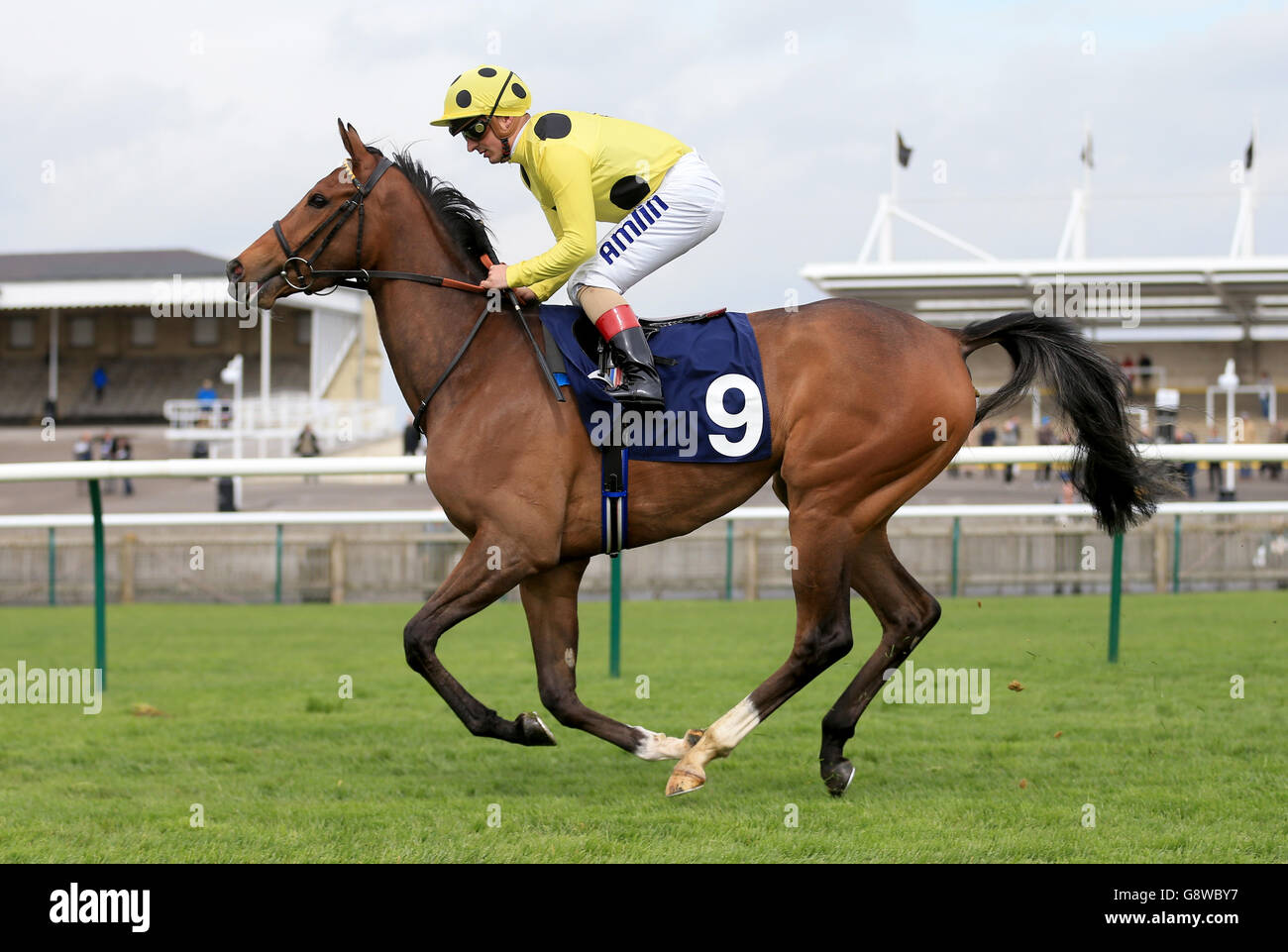The Craven Meeting - Tuesday - Newmarket Races. My Favourite Thing ridden by Andrea Atzeni goes to post Stock Photo